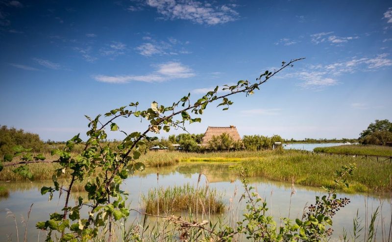 Laguna di Caorle con un casone in canna palustre circondato dai canneti